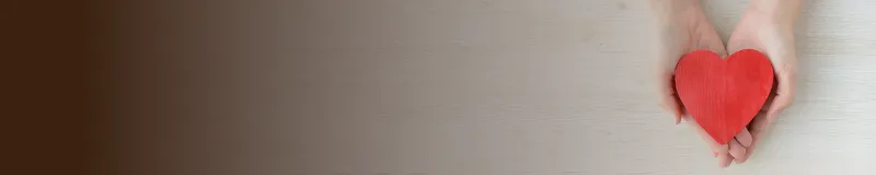 安心の保障を見る